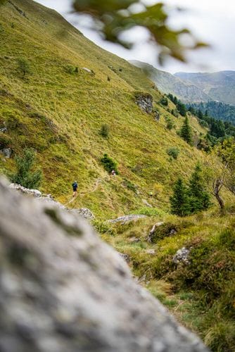 Vallée verte